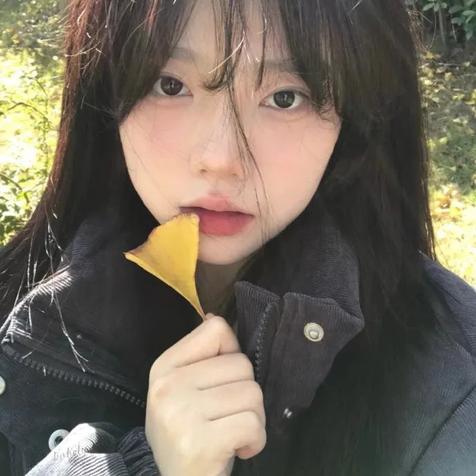 阳光下的冰器